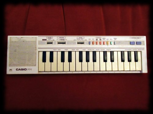 Casio PT-1